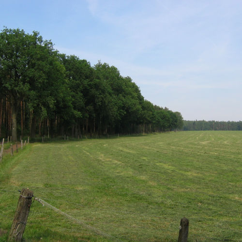 Landschap Lutterzand
