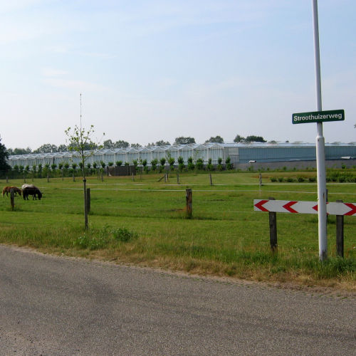 Stroothuizerweg